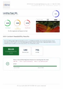 Free SEO Audit by RITHM SEO NY